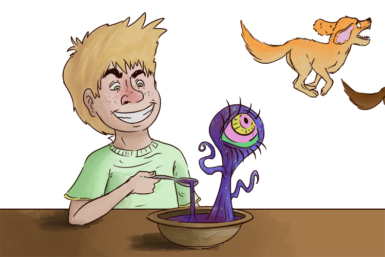 Most people would skip the dish (skittish) but the boy played with the soup and the animals ran off scared.